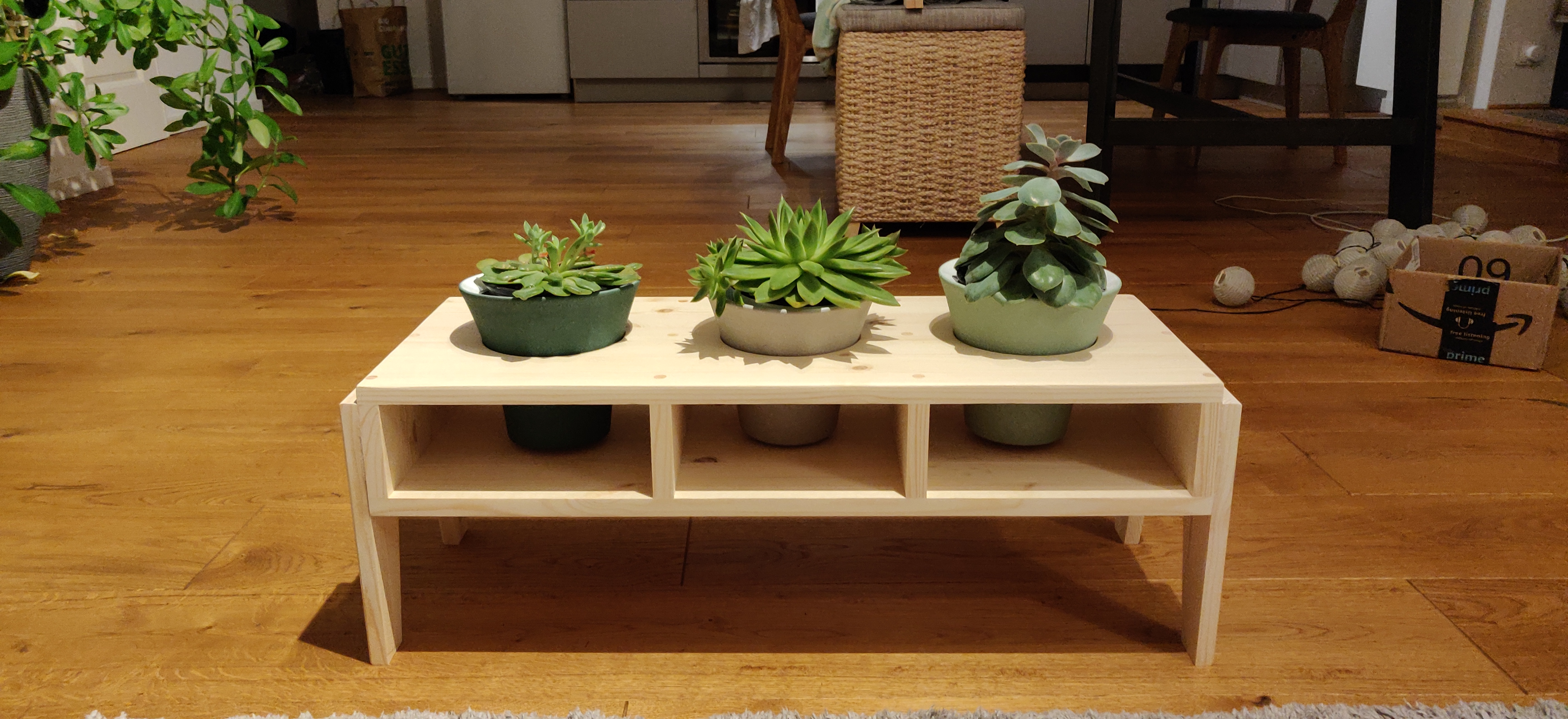 Flower pot stand front view with plants